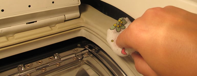 Gummidichtungen Waschmaschine reinigen
