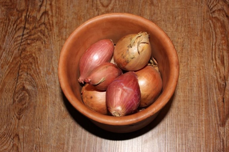 ᐅ Zwiebeln lagern 3 Varianten lerne wie auf haushaltswiki.de